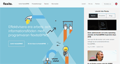 Desktop Screenshot of flexite.com